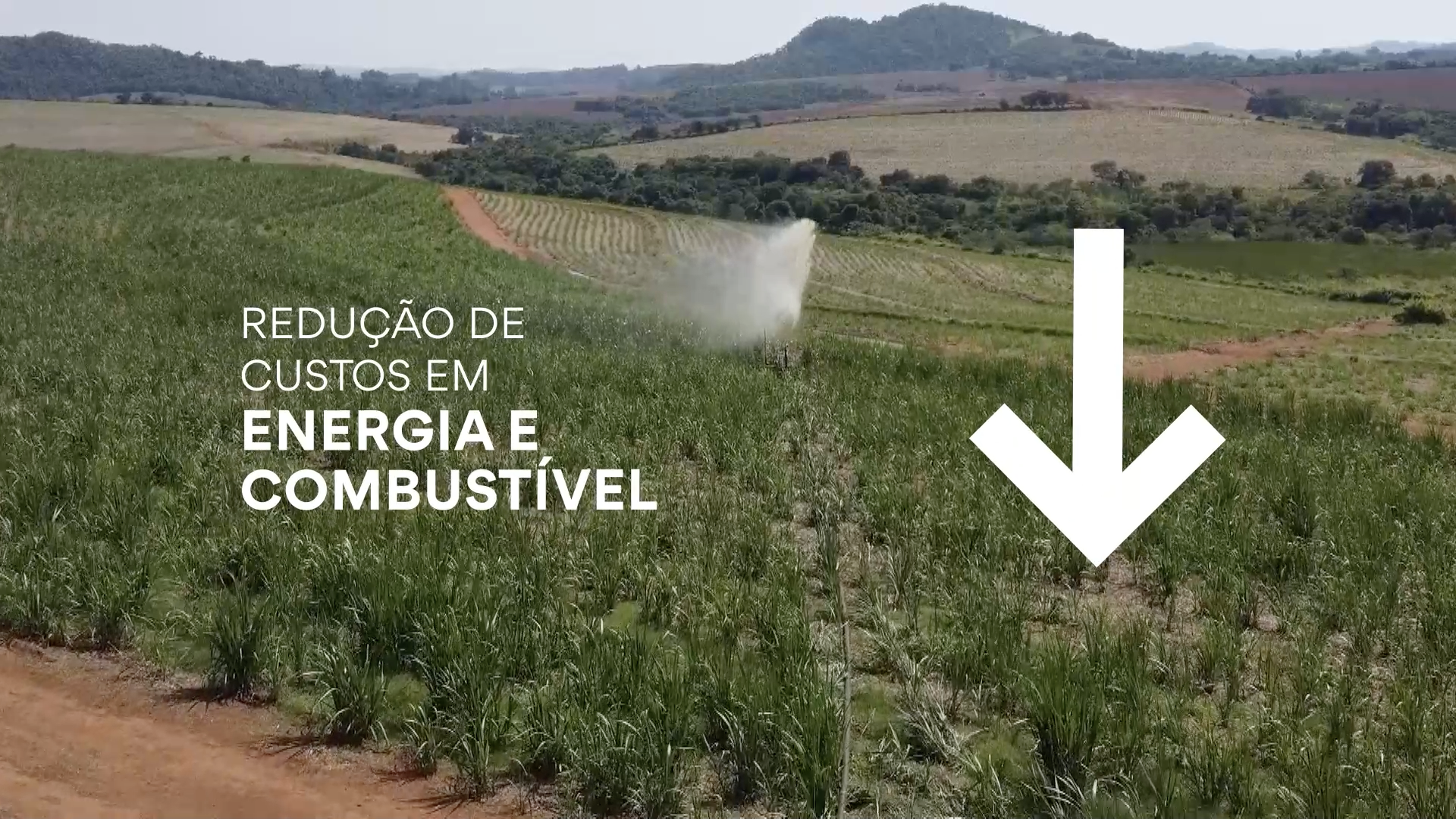 CAPSIM para Carretel - Imagem 2